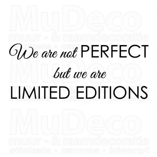 Muursticker - Muurtekst We are not perfect